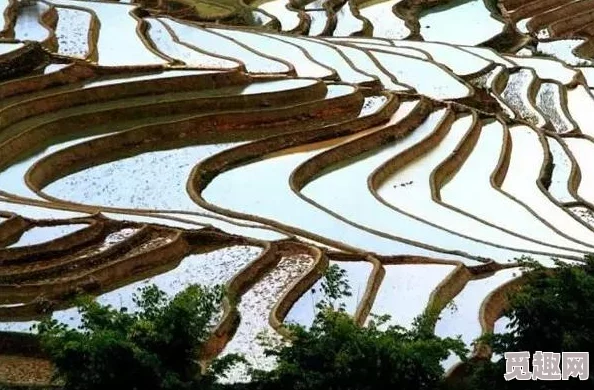 碧蓝档案：阿鲁的奇幻冒险之旅与神秘事件揭秘