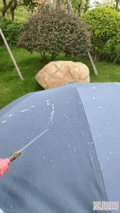 “一个晚上用了七个小雨伞”，探索这场雨夜带来的温暖与思考，让人感受到生活的细腻与奇妙