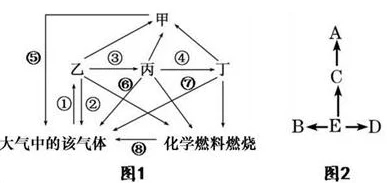 c：全球气候变化对生态系统的影响及应对策略分析，探讨未来可持续发展的重要性与挑战