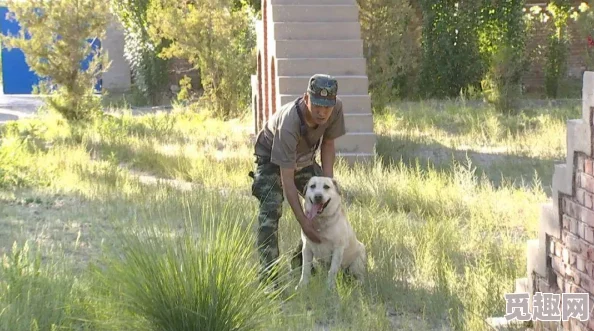 吕总训练张警犬，展现默契配合与专业技能，助力提升警犬工作效率和安全性，共同守护城市安宁