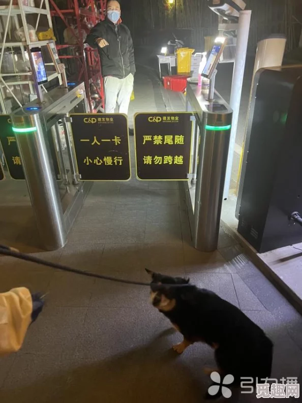 网调小狗的方法：教你如何快速训练爱犬，提升沟通技巧与行为管理的终极指南！