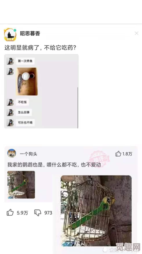 男人桶女人的视频引发热议，网友们纷纷讨论其背后的社会问题与性别观念的影响