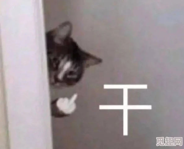 山东直男粗大猛1打桩：探秘他们的魅力与生活方式