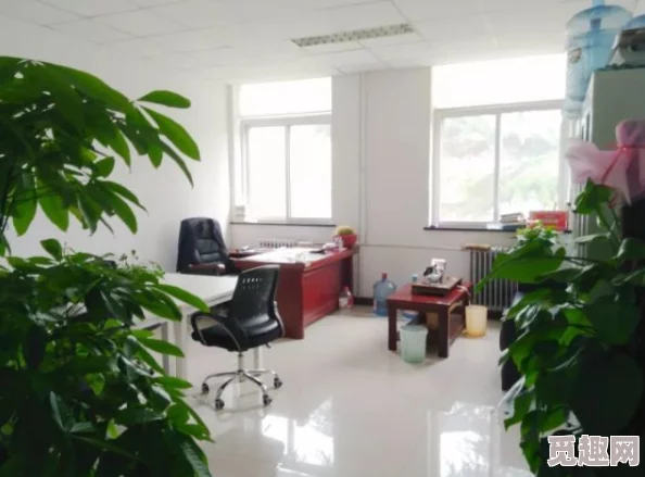 办公室秘辛：当秘书在工作中展现出疯狂的创造力与激情，如何改变职场氛围？