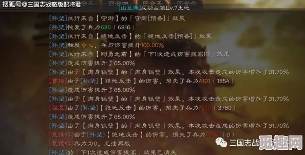 sp孙坚实战：全新战术解析与实战经验分享，助力玩家提升竞技水平和游戏体验
