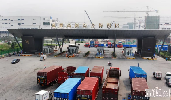 国产一级视频：最新动态揭示行业发展趋势与市场反应，用户体验持续优化，内容创作日益多元化