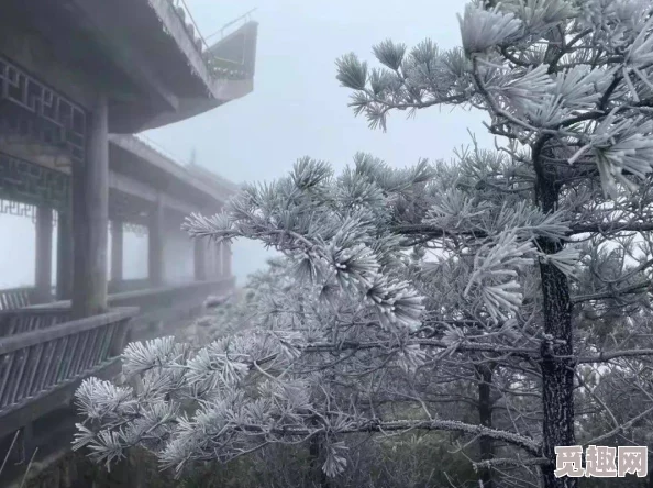 二级黄绝大片中国免费视频0：最新动态显示该视频在网络上的热度持续上升，吸引了大量观众关注与讨论