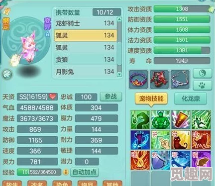 麒麟传03版新手必备：详尽升级打怪策略与高效成长攻略