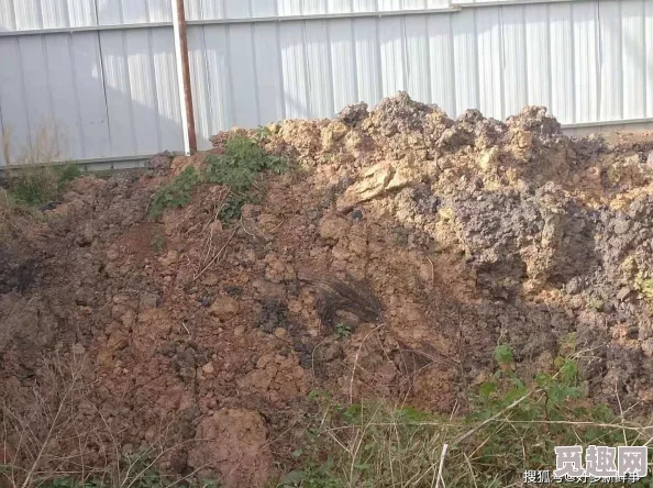 pilpil污染版入口在哪里？让我们一起努力，共同保护环境，创造美好未来！