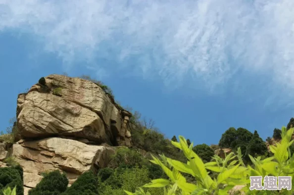 桃园，这地方真不错，风景优美，人也热情，是个放松心情的好去处！