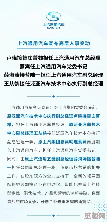 共妻np高h：最新进展与相关作品分析，探讨其在当代文化中的影响与受众反响