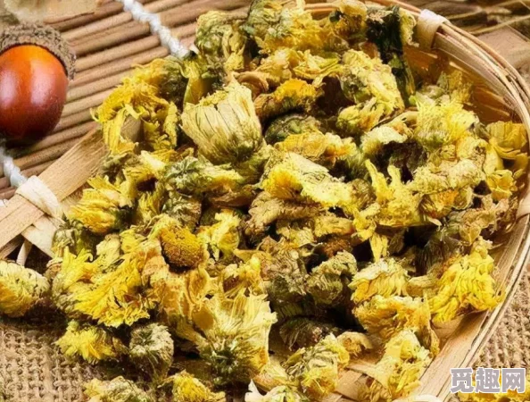 六年级的菊花能塞几根棉签？探讨植物结构与物理空间利用的关系及其在科学教育中的应用