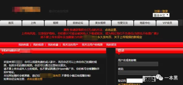 91免费精品国偷自产在线在线：最新动态显示该平台持续更新内容，吸引了大量用户关注与参与