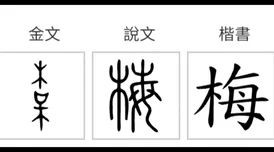 2024年精彩纷呈的耐玩拆字游戏大盘点，趣味无穷的汉字拆解游戏汇总