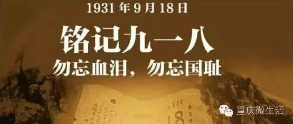 东北大坑后续2：深度解析事件背后的真相与影响，公众反应热烈引发广泛讨论