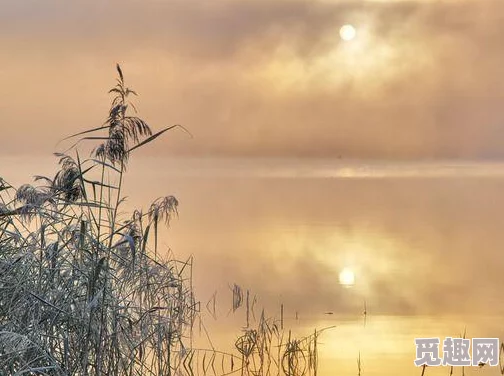 伽罗太华翻白眼还流眼泪，背后真相令人震惊，网友热议引发广泛关注！