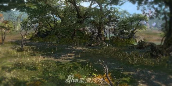 传奇永恒玩家热议：高效攻略揭秘，如何顺利前往沃玛森林探险之旅