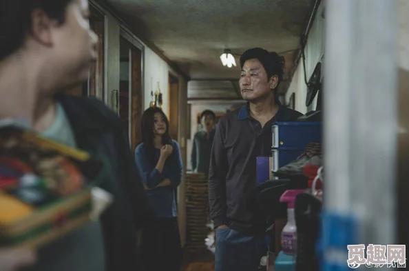 韩国电影《寄生虫》获奥斯卡最佳影片提名引发全球关注日韩欧美1区观众热议