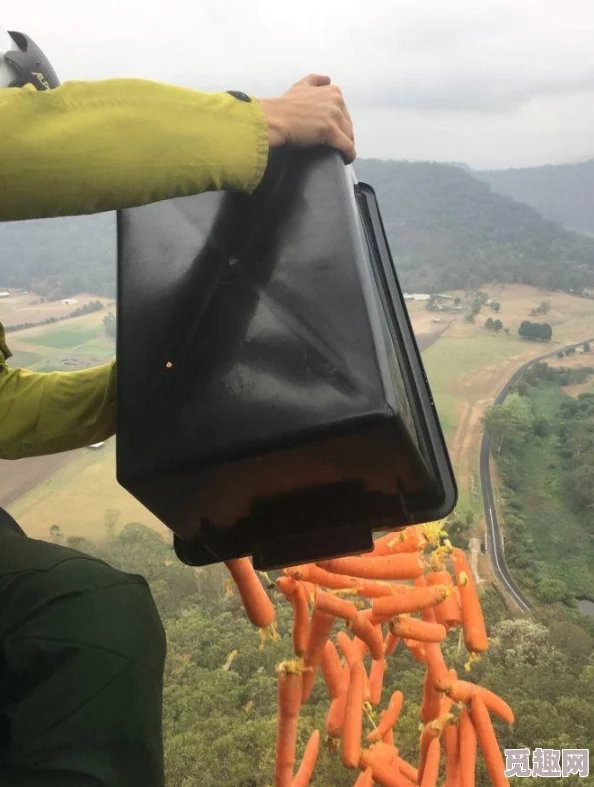 《我的世界》投放食物技巧大揭秘：网友热议的高效实用方法分享