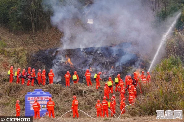 网友热议：地铁逃生更便宜，哪个护航服务既靠谱又实惠？