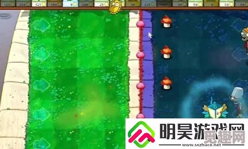《PVZ杂交版》益智模式大揭秘：探索世界另一面，详尽过关攻略获网友好评如潮