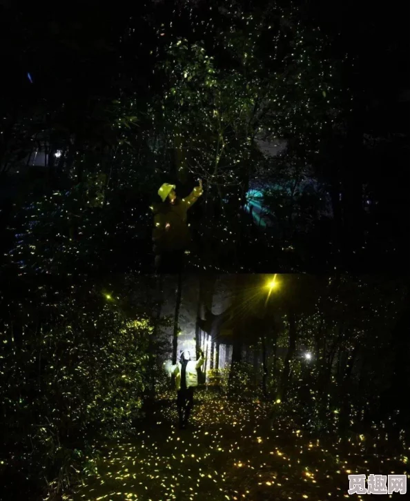 沉默的灵魂在深夜里绽放出奇异的光芒，吸引了无数萤火虫前来共舞