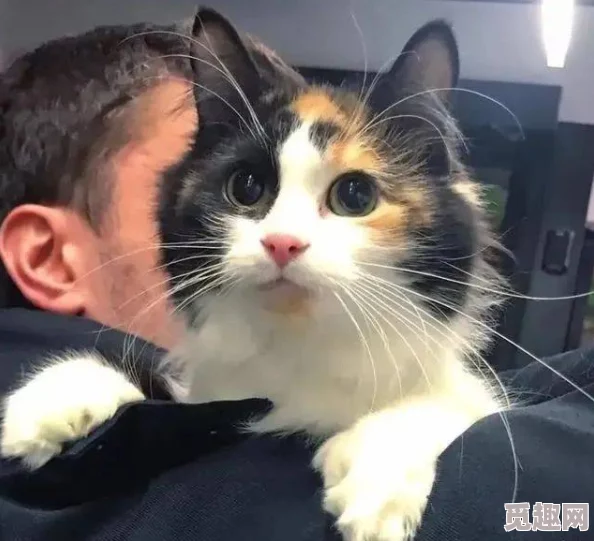 插烂你的逼小明在家养了一只可爱的猫咪，每天都陪它玩耍