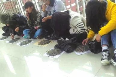 老师在办公室疯狂的肉学生们纷纷表示这是他们见过的最奇葩的教学方式