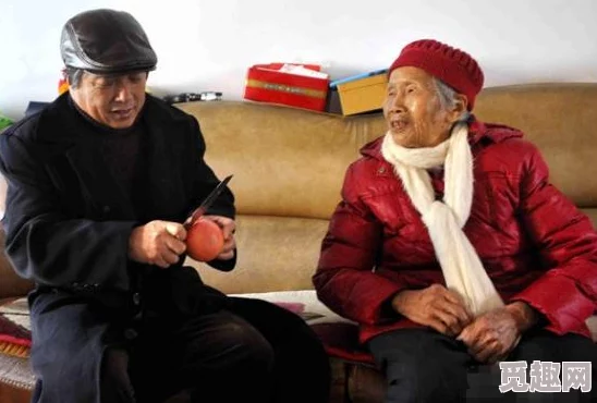 岳故意装睡让我挺进去这句台词出自网络小说《我的岳父大人》，描述了主人公与岳父之间的尴尬情景