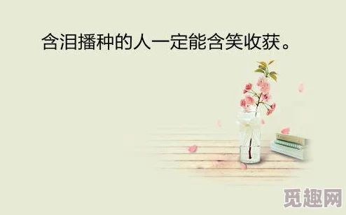 在你心尖上起舞白芷小说免费阅读玉姬书追求梦想勇敢前行心中有光照亮未来