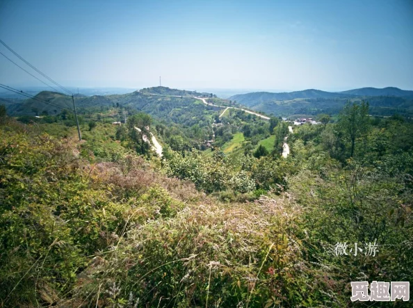 乡村野花香无删减版免费阅读全文这部作品以细腻的笔触描绘了乡村生活的美好与纯真