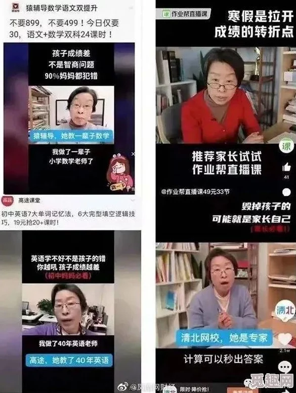 在线欧美免费人成视频资源更新至第10集持续更新中