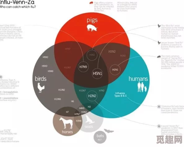 黑人AV展现了不同文化背景下的人类情感与亲密关系