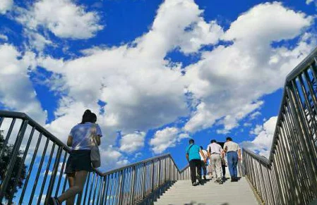 蓝天航空第三部高玉婷人物命运走向与情感纠葛引人深思剧情发展扑朔迷离