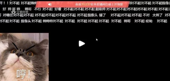 涩涩视频网址疑似惊现某顶流爱豆身影粉丝纷纷表示求锤得锤