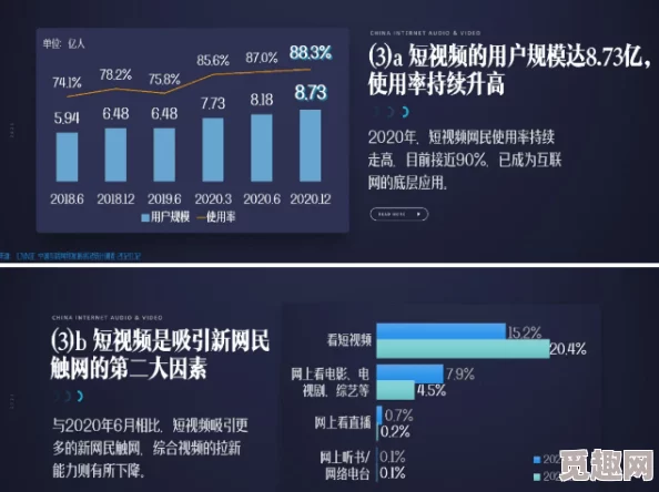 成人国产精品一区二区网站画质差内容重复用户体验不佳