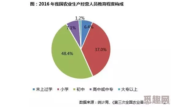 《模拟农场25》鸡蛋出售策略推荐：掌握价格波动，11月高价抛售秘籍