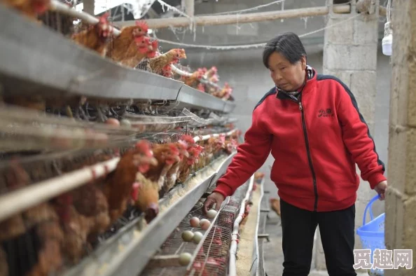 逆袭一刻:快速赚钱的秘诀 快速致富方法大揭秘 逆袭一刻:快速赚钱的秘诀 快速致富方法大揭秘